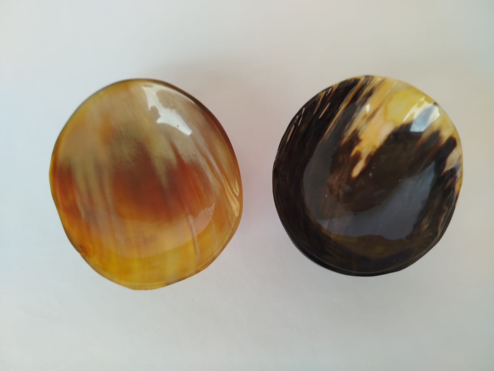 Coupelle cone de zebu (4)