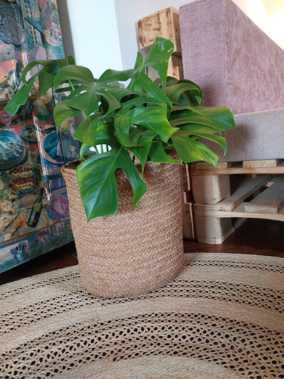 Cache pot (1)