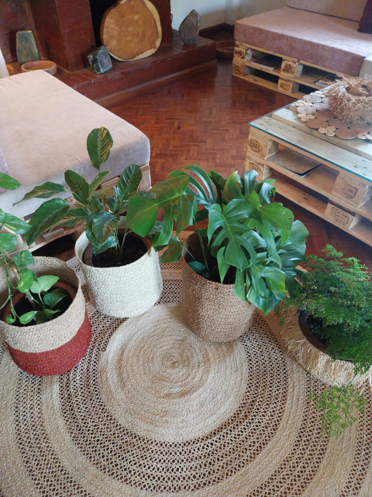 Cache pot (4)