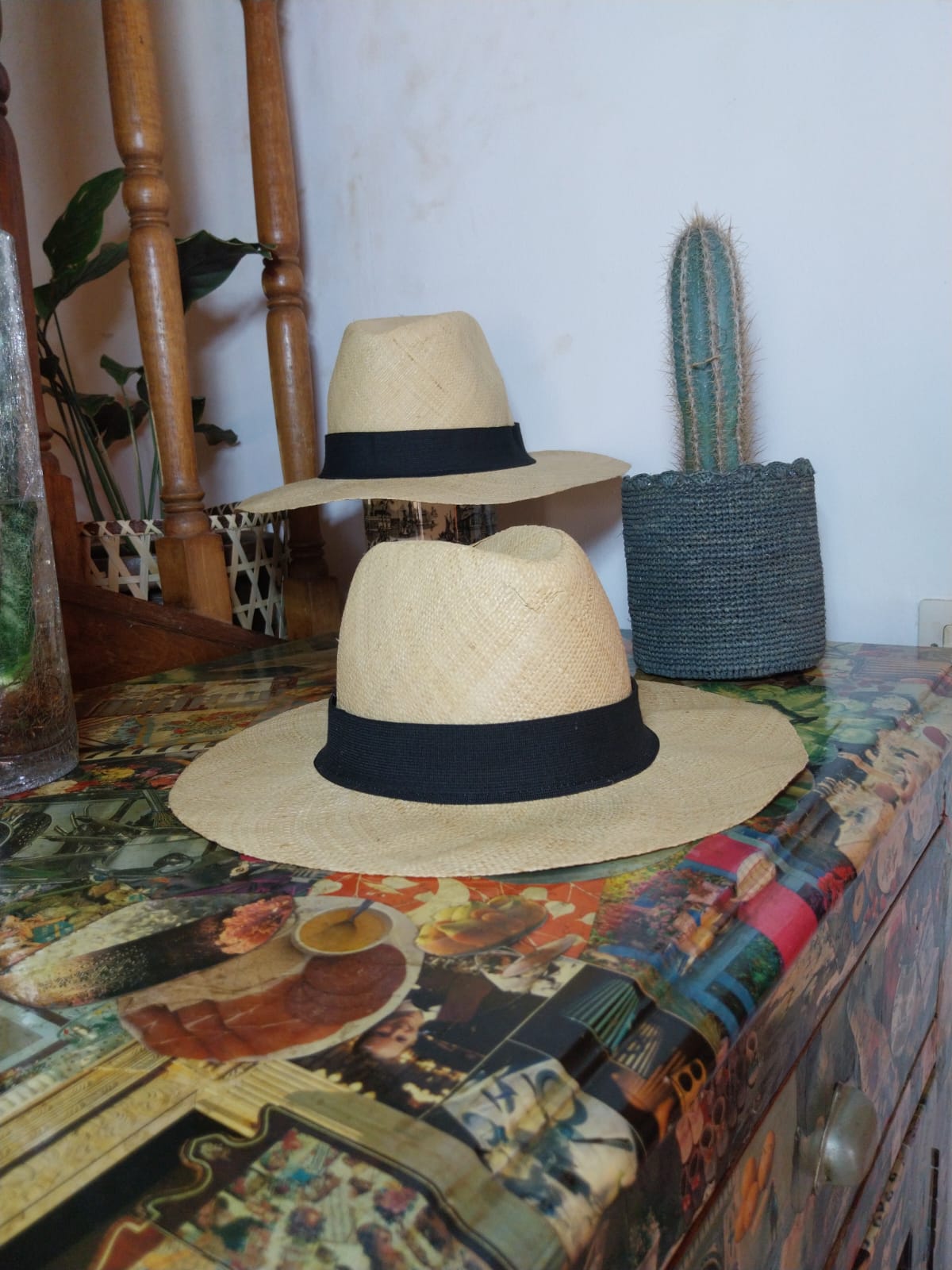 chapeau style panama (2)