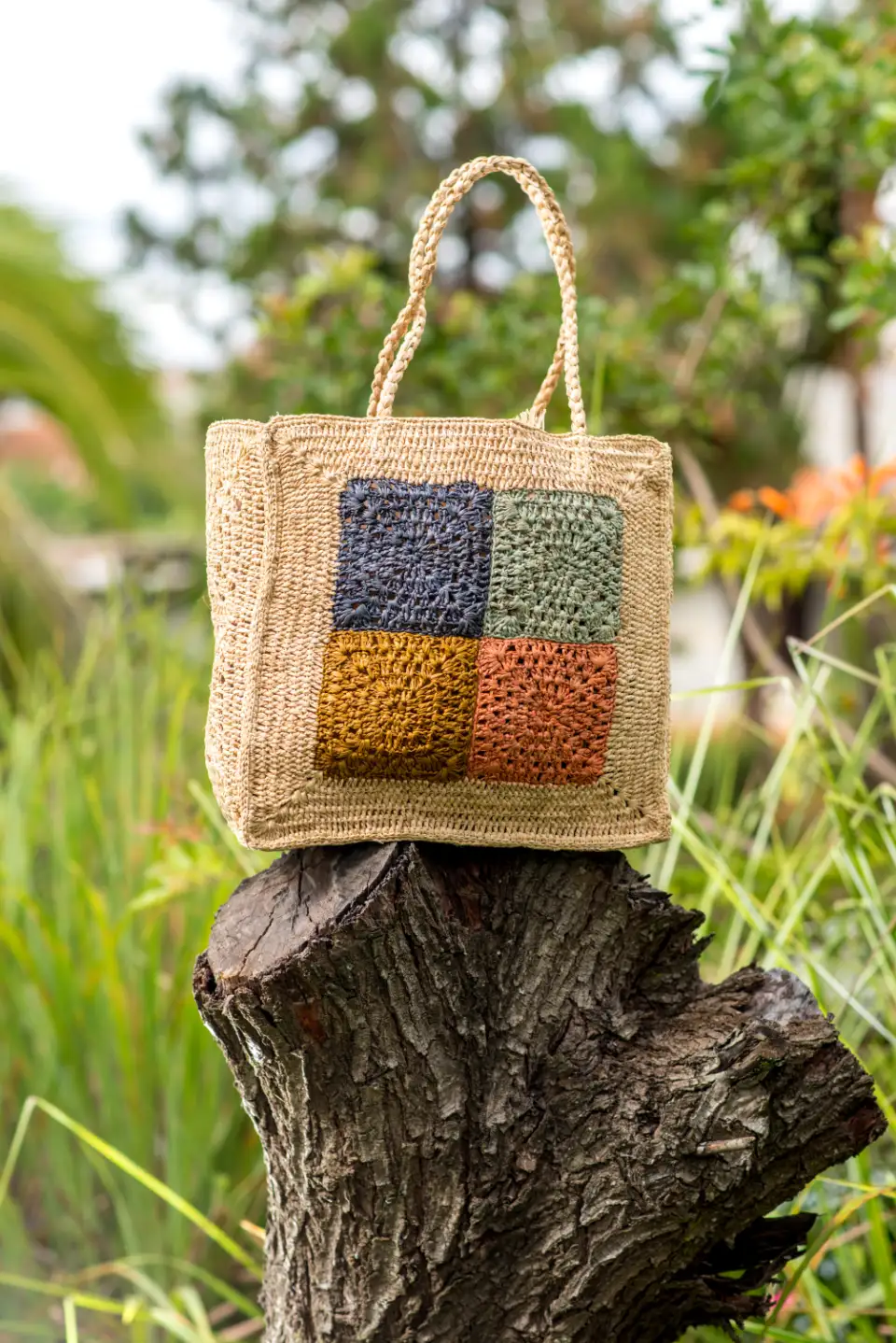 Sac_6
